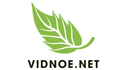 Vidnoe.net