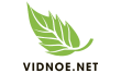 Vidnoe. net